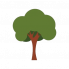 Noblestern